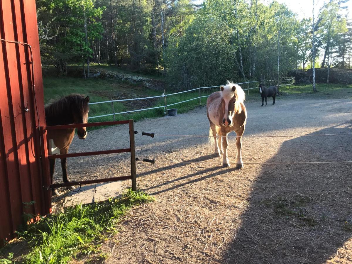 Nice Holiday House At Horse Farm With Lake And Sauna Holo  Extérieur photo
